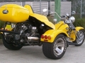 Yellow-Dom-1
